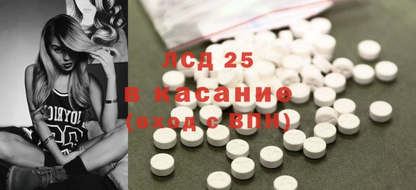 гидра Елабуга