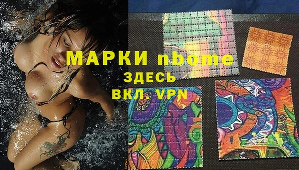гидра Елабуга
