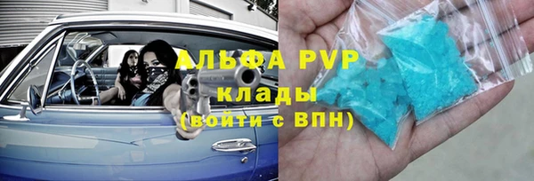 гидра Елабуга