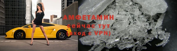 гидра Елабуга