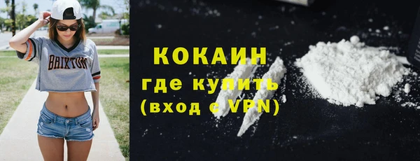 стафф Елизово