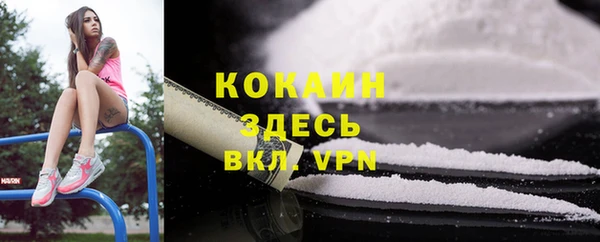 гидра Елабуга