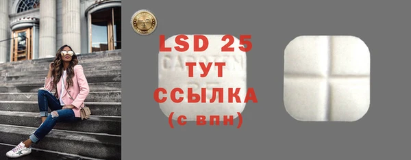 гидра Елабуга