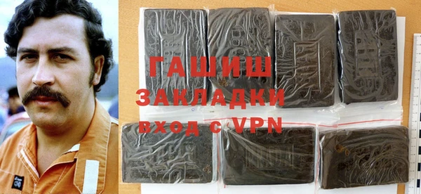 гидра Елабуга