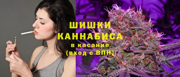 стафф Елизово