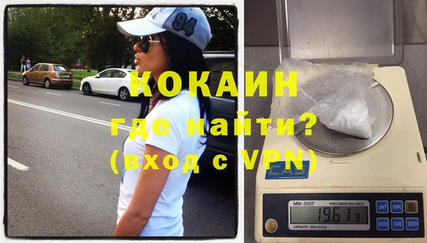 гидра Елабуга