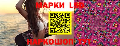 дмт Ипатово