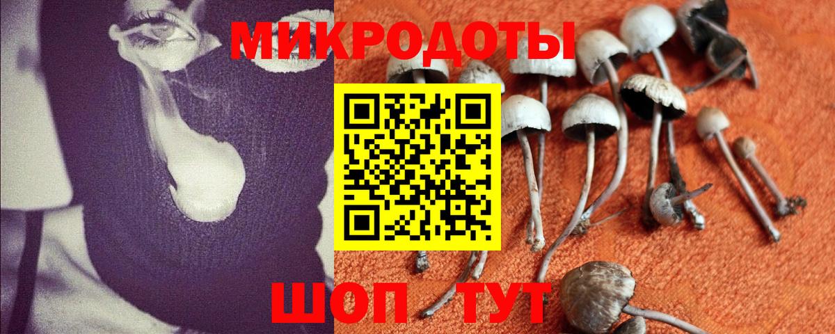 Галлюциногенные грибы мухоморы Свободный