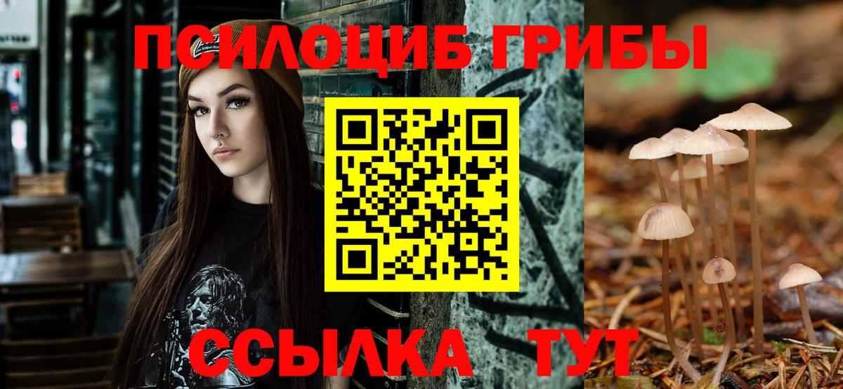 где купить наркоту  Псилоцибиновые грибы Psilocybe  Вход с VPN  Галлюциногенные грибы GOLDEN TEACHER  Свободный 