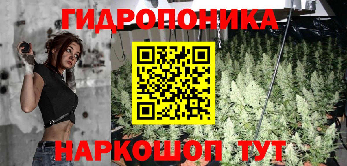 Бошки марихуана VHQ  Вход с VPN  Свободный  Шишки марихуана MAZAR  Марихуана сатива 
